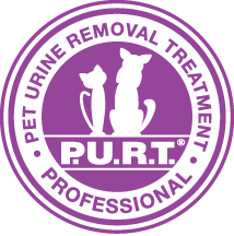 Chem-Dry professional pet urine treatment